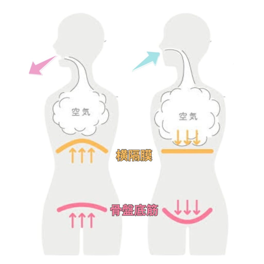 骨盤底筋自宅ケア